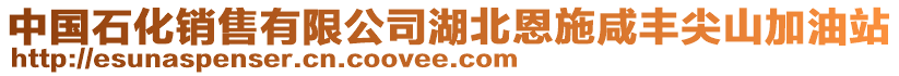 中國石化銷售有限公司湖北恩施咸豐尖山加油站