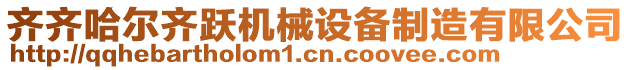 齊齊哈爾齊躍機械設備制造有限公司