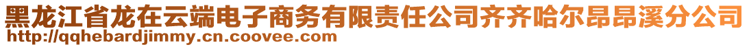 黑龍江省龍?jiān)谠贫穗娮由虅?wù)有限責(zé)任公司齊齊哈爾昂昂溪分公司