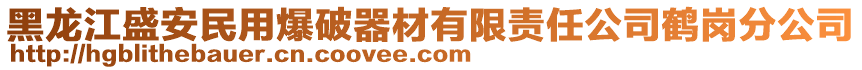 黑龍江盛安民用爆破器材有限責(zé)任公司鶴崗分公司