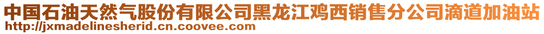 中國石油天然氣股份有限公司黑龍江雞西銷售分公司滴道加油站