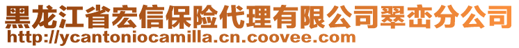 黑龍江省宏信保險代理有限公司翠巒分公司