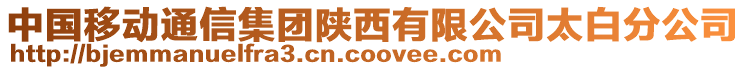 中国移动通信集团陕西有限公司太白分公司