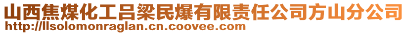 山西焦煤化工呂梁民爆有限責(zé)任公司方山分公司