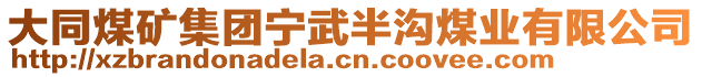 大同煤矿集团宁武半沟煤业有限公司