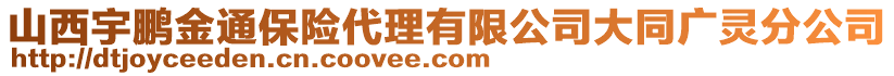 山西宇鵬金通保險代理有限公司大同廣靈分公司