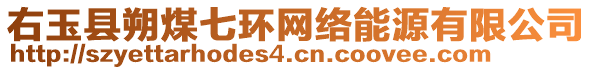 右玉縣朔煤七環網絡能源有限公司