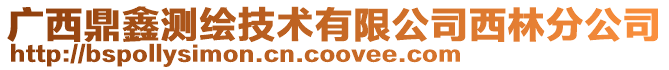 廣西鼎鑫測繪技術有限公司西林分公司
