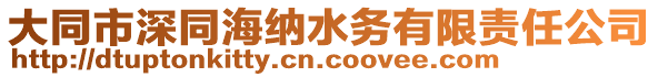 大同市深同海納水務(wù)有限責(zé)任公司