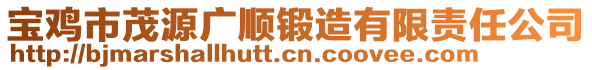 寶雞市茂源廣順鍛造有限責(zé)任公司