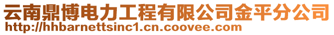 云南鼎博電力工程有限公司金平分公司