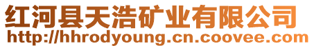 紅河縣天浩礦業(yè)有限公司