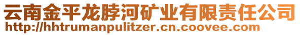 云南金平龍脖河礦業(yè)有限責(zé)任公司