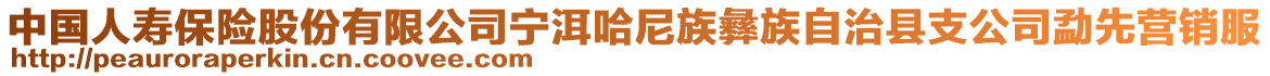 中國人壽保險(xiǎn)股份有限公司寧洱哈尼族彝族自治縣支公司勐先營銷服