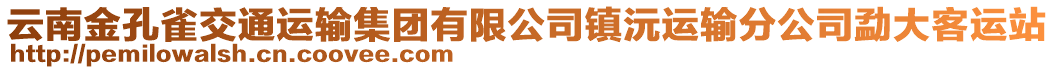 云南金孔雀交通運輸集團有限公司鎮(zhèn)沅運輸分公司勐大客運站