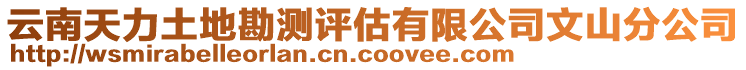 云南天力土地勘測(cè)評(píng)估有限公司文山分公司