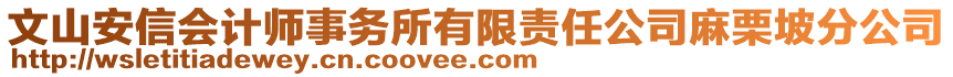 文山安信會計師事務所有限責任公司麻栗坡分公司