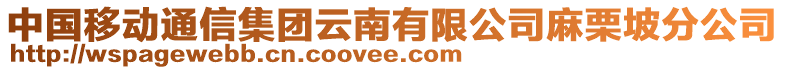 中國移動通信集團(tuán)云南有限公司麻栗坡分公司