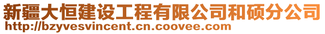 新疆大恒建設工程有限公司和碩分公司