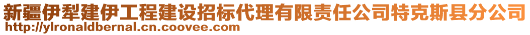 新疆伊犁建伊工程建设招标代理有限责任公司特克斯县分公司