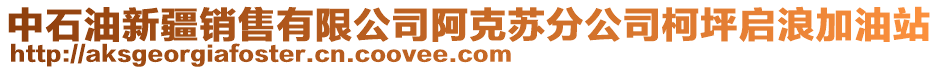 中石油新疆銷售有限公司阿克蘇分公司柯坪啟浪加油站