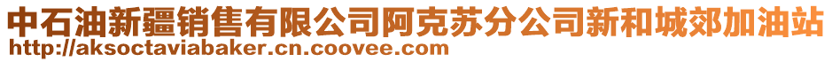 中石油新疆销售有限公司阿克苏分公司新和城郊加油站