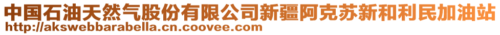 中国石油天然气股份有限公司新疆阿克苏新和利民加油站