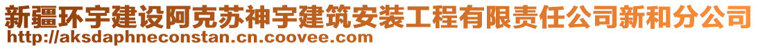 新疆环宇建设阿克苏神宇建筑安装工程有限责任公司新和分公司