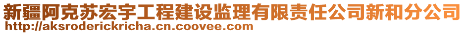 新疆阿克苏宏宇工程建设监理有限责任公司新和分公司