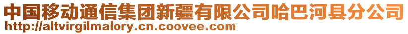 中國移動通信集團新疆有限公司哈巴河縣分公司