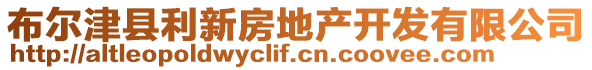 布爾津縣利新房地產(chǎn)開發(fā)有限公司