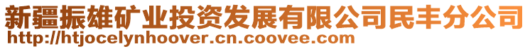 新疆振雄礦業(yè)投資發(fā)展有限公司民豐分公司