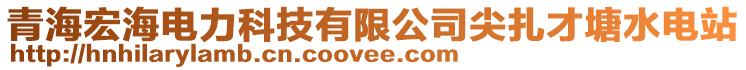 青海宏海電力科技有限公司尖扎才塘水電站