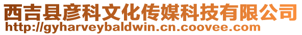 西吉縣彥科文化傳媒科技有限公司