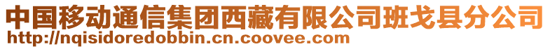 中国移动通信集团西藏有限公司班戈县分公司