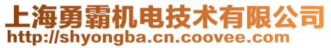 上海勇霸机电技术有限公司