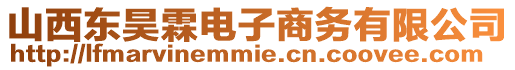 山西東昊霖電子商務(wù)有限公司