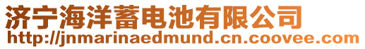 濟(jì)寧海洋蓄電池有限公司
