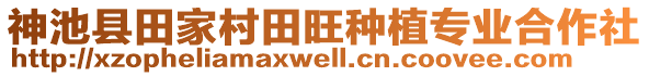 神池縣田家村田旺種植專業(yè)合作社