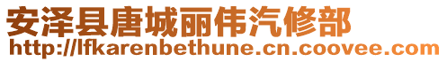安澤縣唐城麗偉汽修部