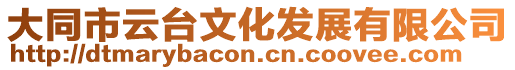 大同市云臺(tái)文化發(fā)展有限公司