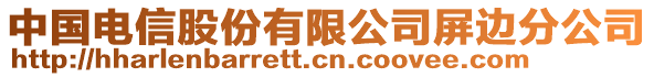 中國(guó)電信股份有限公司屏邊分公司