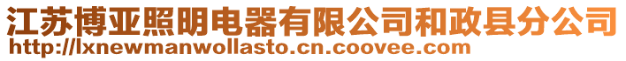 江蘇博亞照明電器有限公司和政縣分公司