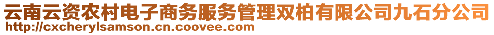 云南云資農(nóng)村電子商務(wù)服務(wù)管理雙柏有限公司九石分公司