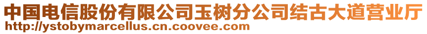 中國(guó)電信股份有限公司玉樹分公司結(jié)古大道營(yíng)業(yè)廳