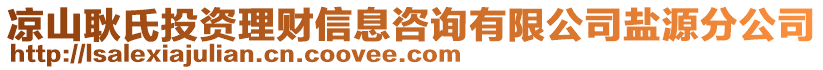 涼山耿氏投資理財(cái)信息咨詢有限公司鹽源分公司