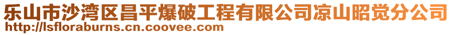 樂山市沙灣區(qū)昌平爆破工程有限公司涼山昭覺分公司