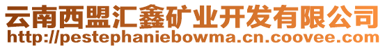 云南西盟匯鑫礦業(yè)開(kāi)發(fā)有限公司