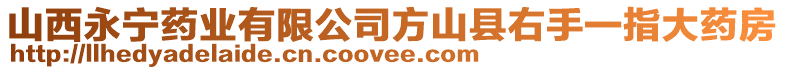 山西永寧藥業(yè)有限公司方山縣右手一指大藥房