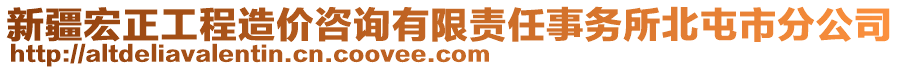 新疆宏正工程造價咨詢有限責任事務所北屯市分公司